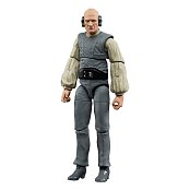 Star Wars Episode VI 40th Anniversary Black Series Action Figure Paploo 15 cm