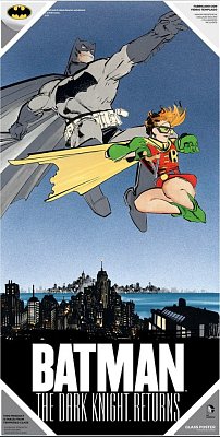 The Dark Knight Returns Glass Poster Batman & Robin 60 x 30 cm