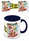 Birds Of Prey Coloured Inner Mug Harley Quinn Warning