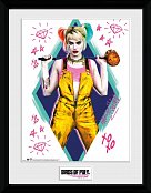 Birds of Prey Framed Poster Harley Quinn