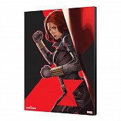 Black Widow Movie dřevěné nástěnné umění BW Side 34 x 50 cm