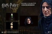 Harry Potter Accessories Set 2.0 for 1/6 Snape 1.0