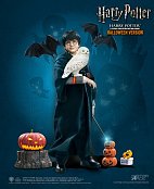 Harry Potter My Favourite Movie Action Figure 1/6 Harry Potter (Child) Halloween Limited Edition
