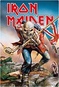 Iron Maiden Cínová cedule, Trooper, 20 x 30 cm