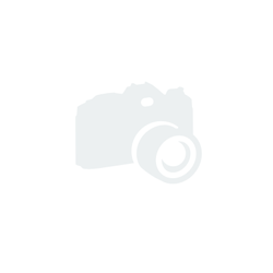 Magic the Gathering Magic Arena Starter Kit french