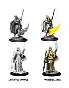 Pathfinder Battles Deep Cuts Unpainted Miniatures Female Human Oracle (Magic User) Case (6)