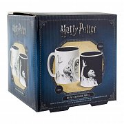 Harry Potter Heat Change Mug Voldemort