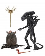 Alien 1979 Action Figure Ultimate 40th Anniversary Big Chap 23 cm --- DAMAGED PACKAGING
