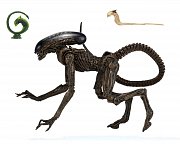 Alien 3 Action Figure Ultimate Dog Alien 23 cm