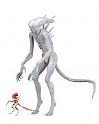 Alien Covenant Action figurka Neomorph 23 cm