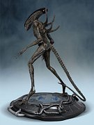 Alien Covenant Statue 1/4 Xenomorph 69 cm