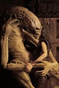 Alien Resurrection Deluxe Action Figure Newborn 28 cm