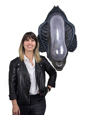 Alien Trophy Plaque Xenomorph (Foam Rubber/Latex) 78 cm