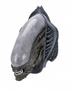 Alien Trophy Plaque Xenomorph (Foam Rubber/Latex) 78 cm