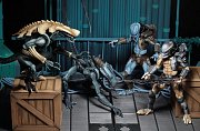 Alien vs Predator Action Figure 20 cm Predator Arcade Appearance Case (8)