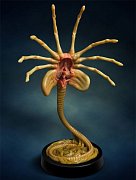 Aliens Replica 1/1 Facehugger 72 cm