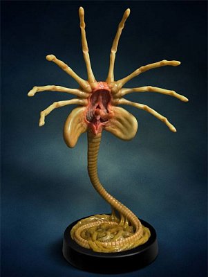 Aliens Replica 1/1 Facehugger 72 cm