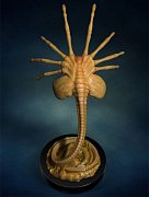 Aliens Replica 1/1 Facehugger 72 cm