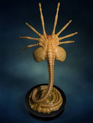 Aliens Replica 1/1 Facehugger 72 cm