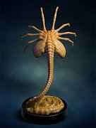 Aliens Replica 1/1 Facehugger 72 cm