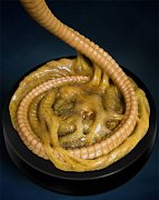 Aliens Replica 1/1 Facehugger 72 cm