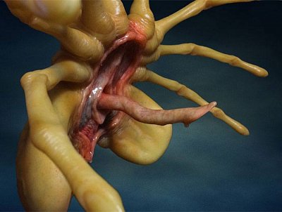 Aliens Replica 1/1 Facehugger 72 cm