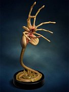 Aliens Replica 1/1 Facehugger 72 cm