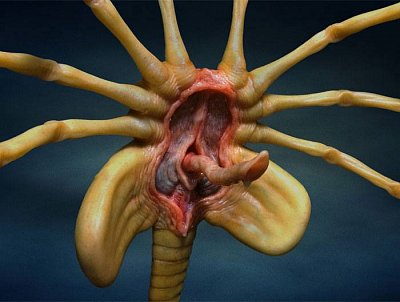 Aliens Replica 1/1 Facehugger 72 cm