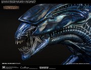 Aliens vs Predator Bust Maquette 1/3 Alien Queen 70 cm