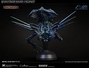 Aliens vs Predator Bust Maquette 1/3 Alien Queen 70 cm