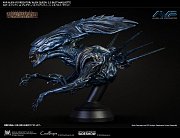 Aliens vs Predator Bust Maquette 1/3 Alien Queen 70 cm