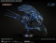 Aliens vs Predator Bust Maquette 1/3 Alien Queen 70 cm