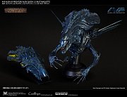Aliens vs Predator Bust Maquette 1/3 Alien Queen Deluxe Version 70 cm