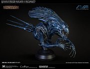 Aliens vs Predator Bust Maquette 1/3 Alien Queen Deluxe Version 70 cm
