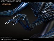Aliens vs Predator Bust Maquette 1/3 Alien Queen Deluxe Version 70 cm