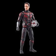 Ant-Man and the Wasp: Quantumania Marvel Legends Action Figure Cassie Lang BAF: Ant-Man 15 cm