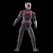 Ant-Man and the Wasp: Quantumania Marvel Legends Action Figure Cassie Lang BAF: Ant-Man 15 cm