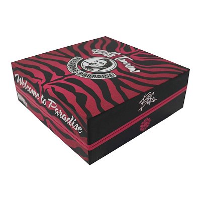 Zpět do budoucnosti Repliky Premium Box