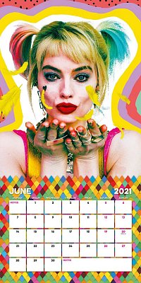 Birds of Prey Calendar 2021 *English Version*