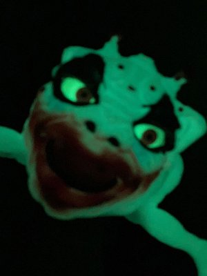 Boglins Ruční loutka Temný pán Crazy Clown (Glow In The Dark)