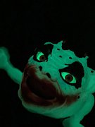 Boglins Ruční loutka Temný pán Crazy Clown (Glow In The Dark)