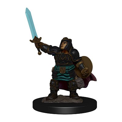 D&D Icons of the Realms Premium Miniature pre-painted Dwarf Paladin Female Case (6)