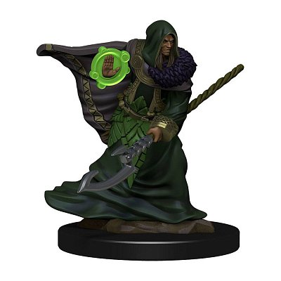 D&D Icons of the Realms Premium Miniature pre-painted Elf Druid Male Case (6)