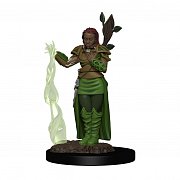 D&D Icons of the Realms Premium Miniature pre-painted Human Female Druid Case (6)