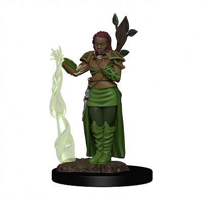 D&D Icons of the Realms Premium Miniature pre-painted Human Female Druid Case (6)