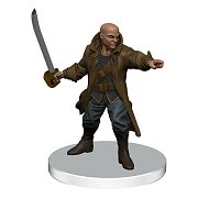 D&D Icons of the Realms: Saltmarsh předmalovaná krabička miniatur 1