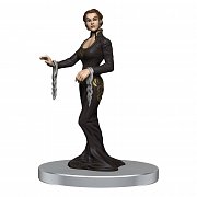 Předmalované miniatury D&D Icons of the Realms Waterdeep: Dragonheist Box Set 2