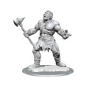 Pouzdro D&D Nolzur's Marvelous Miniatures Unpainted Miniature Cyclops Case (2)