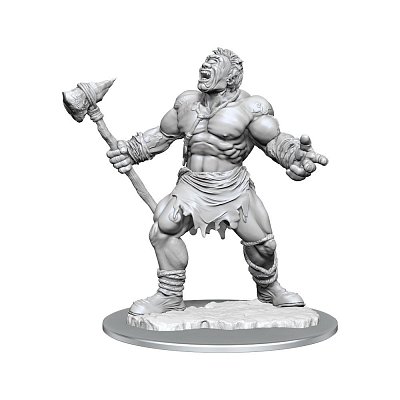 Pouzdro D&D Nolzur's Marvelous Miniatures Unpainted Miniature Cyclops Case (2)
