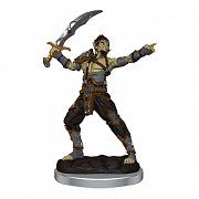 D&D Nolzur's Marvelous Miniatures Nenabarvené miniatury 2-balení Githyanki Case (4)